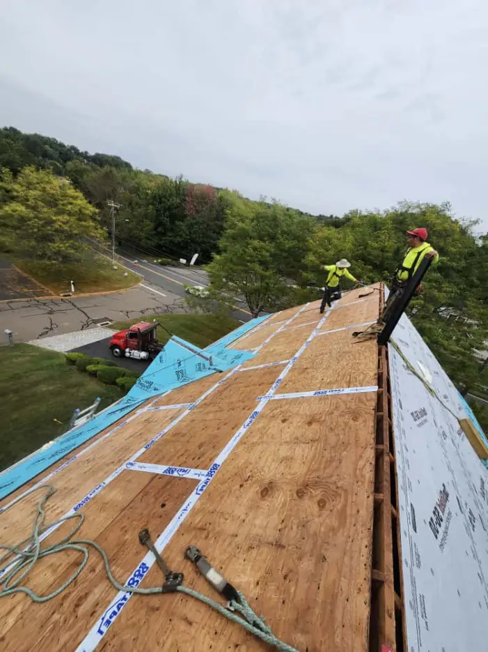 Storm Damage by Polar Contracting — North Jersey
